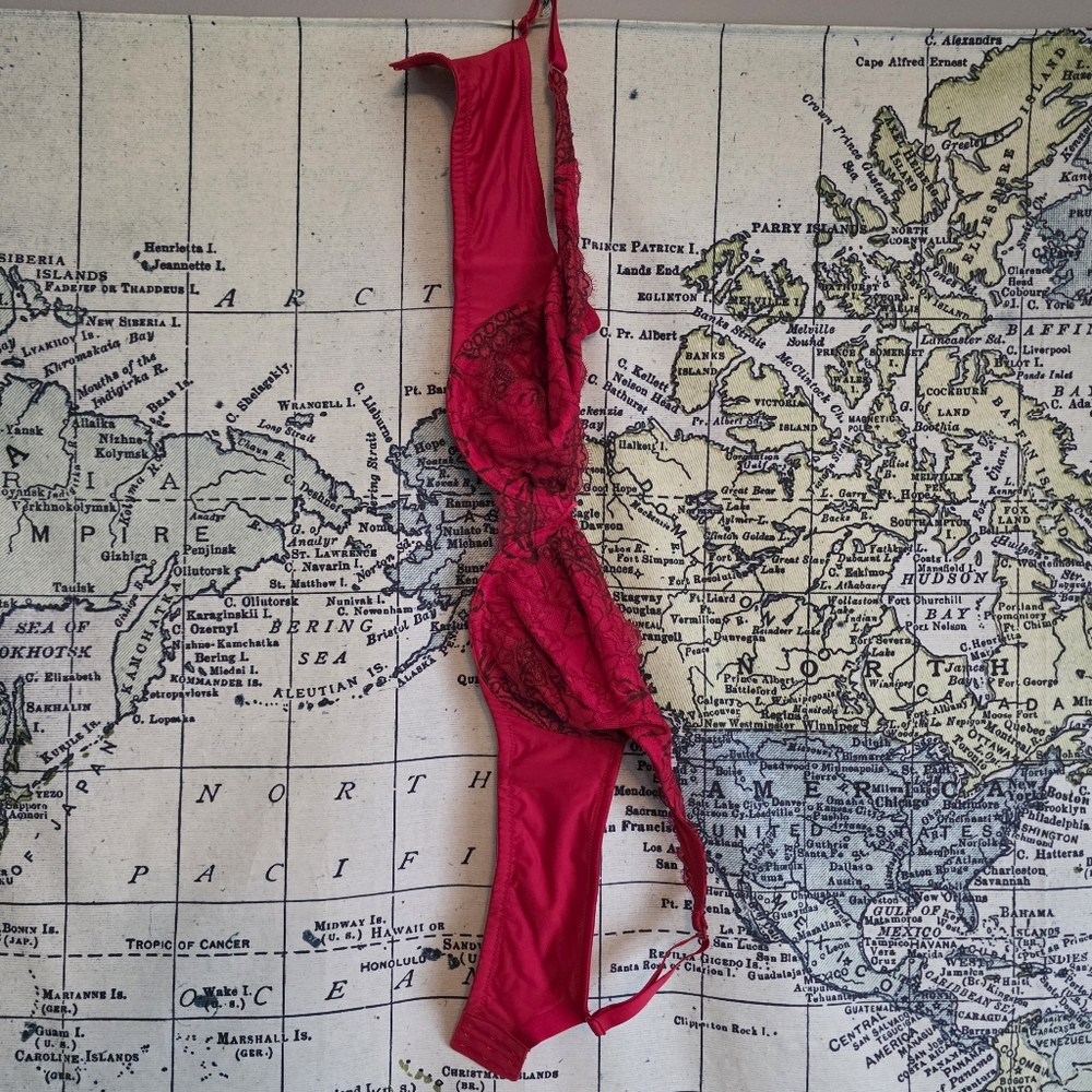 Cacique Vibrant Red Lingerie